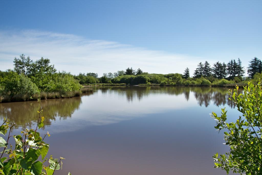 Egebjerggaard Bed & Breakfast Sig Oda fotoğraf
